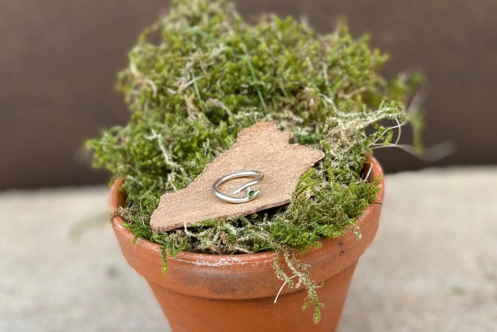 Ring
