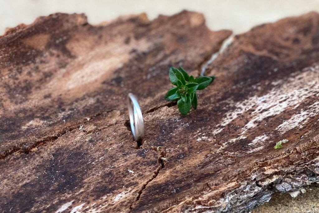 Ring