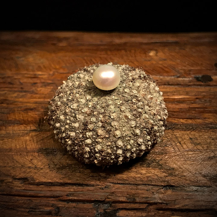 Winterschmiede - Ohrschmuck